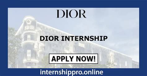 dior summer internship|christian dior diversity training.